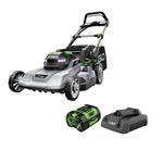 LM2114 POWER+ 21in Mower with 6.0Ah Battery and 32