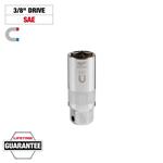 48-22-9554 3/8in Drive 13/16in Magnetic Spark Plug