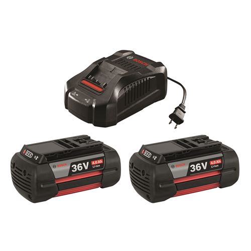 SKC36-01 36 V Lithium-Ion Battery and Charger Star